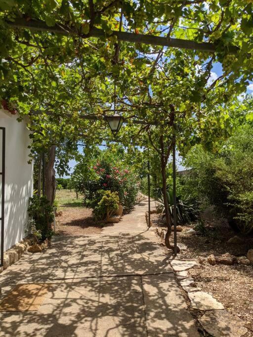 Casa Rural Frente Al Mar La Toscana Les Cases d'Alcanar Bagian luar foto